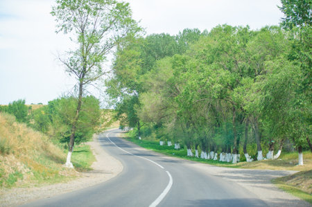Explore the scenic route to the base of the hills. Discover hidden treasures along the road to the foothills.の写真素材