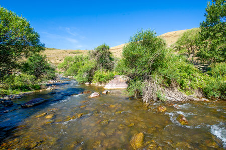 Immerse yourself in the beauty and mystery of nature. Listen to ancient tales whispering across the river. Experience the magic of a mountain river flowing over rocks.の写真素材