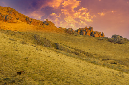 Beautiful views of the sunset over the steppe rocks, horses grazing peacefully in open fields, quiet and serene natural landscapes for relaxation and meditation.の写真素材