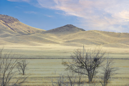 prairie, plain. Chasing the sunset across desert dunes, capturing moments that will take your breath away Wanderlustの写真素材