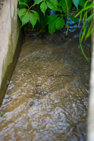 Water flows through a concrete trench. In this corner of the garden, the soothing melody of a...