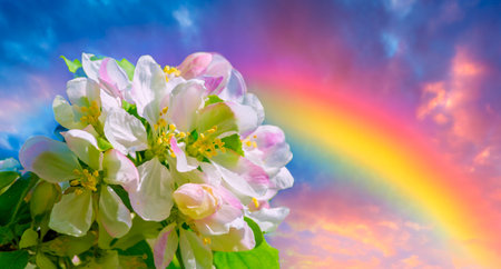 Delicate flowers add a touch of beauty to the apple tree The elegance of nature shines through these beautiful flowers The contrast between the soft petals and strong branches creates a stunning sightの写真素材