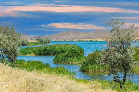breathtaking beauty of nature. See how the river flows peacefully through the landscape. Enjoy majestic views of mountains and trees. Capture the golden hues of the sunset reflected in the water.の写真素材