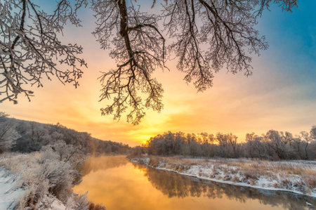 Experience the beauty of a snow-covered field under a clear blue sky. Immerse yourself in the pure...