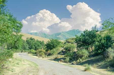Enjoy hiking and exploring the picturesque foothills. Enjoy stunning views of the majestic mountains in summer. Enjoy the natural beauty of the foothills this time of year.の写真素材