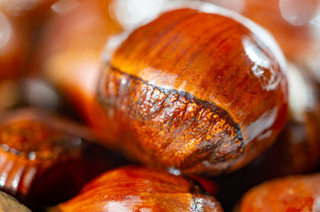 Explore the beauty of nature with chestnuts. Enjoy the season's offerings through chestnut arrangements. Discover the wonder and magic of chestnuts.の写真素材