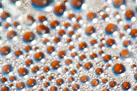 Blurred, Create a visually stunning water bubble effect. Add texture to your drawings with realistic...