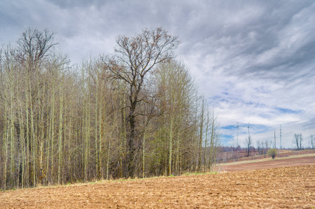 Experience the beauty and rejuvenation of nature during the Caring Earth harvest season. Explore the cycle of life in a sunlit plowed field. Prepare for abundance and generosity,の写真素材