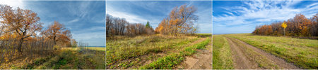 The beautiful colors of autumn come to life in the Golden Age. The yellowed leaves create a stunning...