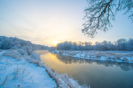 Experience the charm of a winter wonderland. See how the sun illuminates the glittering ice. Immerse yourself in the beauty and tranquility of this frozen landscape.の写真素材