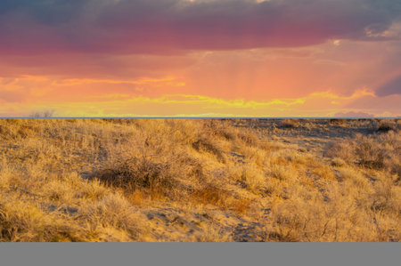 A visual journey through the beauty of autumn landscapes. Feel the serenity of the steppe at sunset. Witness the stunning sand dunes glowing in the evening light.の写真素材