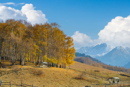 Enjoy the stunning beauty of autumn in the mountains. Be captivated by the colorful foliage and towering peaks. Immerse yourself in the picturesque landscape. An ideal place for nature loversの写真素材