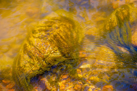 Serene beauty where nature sparkles and cascades. Feel the soothing melody of this mountain stream...
