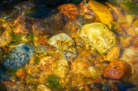 Immerse yourself in untouched wilderness. Feel the rhythmic dance of water in a mountain stream....