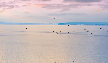 Breathtaking view of the sunset reflected in the frozen river. A charming view of a flock of crows flying gracefully over the river. The perfect moment to capture the beauty and serenity of nature.の写真素材