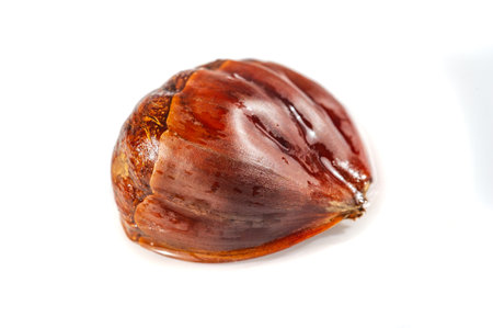 Enjoy the beauty of nature in a minimalist setting. Photograph the intricate details of the chestnut tree up close. Experience the simplicity and elegance of natural design.の写真素材