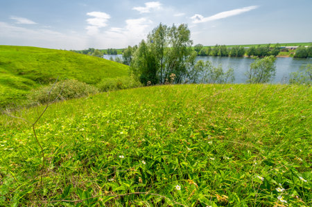 Spring photo, willow overgrown lake, bright greenery, blue sky with clouds, great spring moodの写真素材