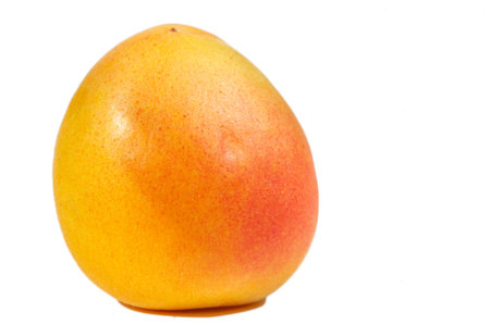 Apricot. Although their own name is Prunus armeniaca, apricots probably come from China, not...