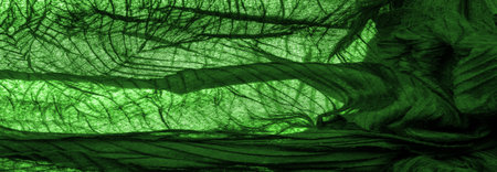 Texture. Background. Background. Dark green luxury shiny fabric texture, this is an abstract silk fabric backgroundの写真素材
