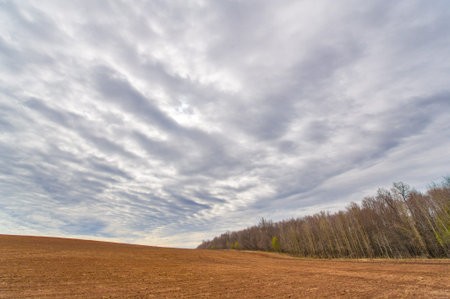 Prepare the ground for successful crop growth. A thoroughly plowed field is ready for sowing seeds. Fertile soil guarantees a bountiful harvest.の写真素材