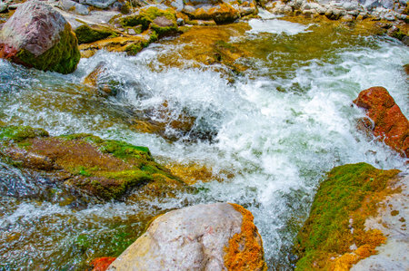 Experience the serenity of a flowing river in a majestic canyon. Surround yourself with the stunning...