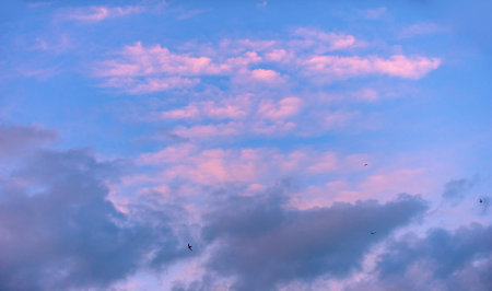 sky, Clouds float into my life, not to bring rain or cause a storm, but to add color to my sunset...