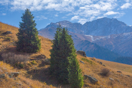 Feel the bright autumn colors of the Tien Shan. Immerse yourself in the symphony of nature's orchestra. Capture a contrasting palette of fall hues.の写真素材