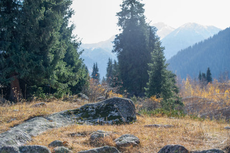 Enjoy the breathtaking beauty of nature in autumn. Vibrant foliage and evergreen pines create a stunning tapestry of flowers. In the background you can admire the majestic view of the high mountains.の写真素材