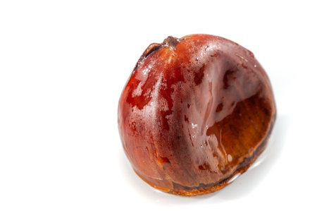 Feel the beauty of the chestnut tree as a focal point. The smooth surface and natural tones create a feeling of calm and simplicity. Pure white background enhances natural beautyの写真素材