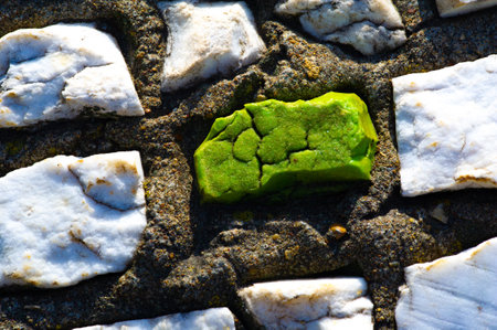 Each tile tells a unique story. Addition to the city's mosaic. Capture the essence of the cityscape and its colorful soul.の写真素材