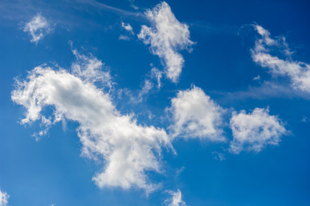 Access a library of design resources in the cloud. Collaborate with other designers in real time. Store and share design files securely online.の写真素材