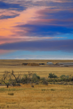 Steppe, prairie, plain, pampa. When the sun drops below the horizon, the desert turns into a canvas of bright colors that can give odds to any famous artist! Masterpiece of Natureの写真素材