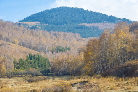 Enjoy the beauty of the majestic spruce and birch trees. Immerse yourself in the tranquility of autumn landscapes. Feel enchanted by the rocky cliffs and serene mountain heights.の写真素材