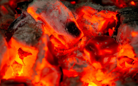 Fire in the fireplace.