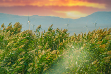 Enjoy the breathtaking beauty of prairie and prairie landscapes. Witness vibrant sunsets that paint...