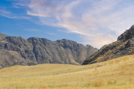 A natural oasis in the middle of a steppe landscape. The gentle sound of flowing water creates a peaceful atmosphere.の写真素材
