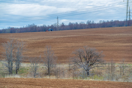 Experience rejuvenation and the cycle of life during the harvest season. Reap a bountiful harvest from our sun-drenched, plowed fields. Celebrate the abundance of earth's gifts.の写真素材