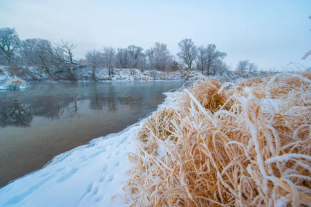 Winter Wonderland is a peaceful and serene place. The sun creates a beautiful golden light on the...