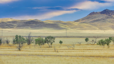 prairie, plain, desert. Witness the mesmerizing dance of flowers as the sun bids farewell to the...