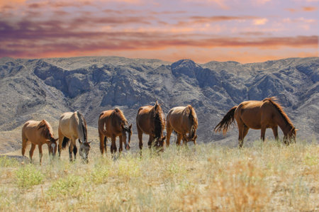 Scenic view of horses grazing in the river delta. Horses roam freely in their natural habitat. Stunning backdrop of rocky landscape. A tranquil setting for nature lovers and photographers.の写真素材