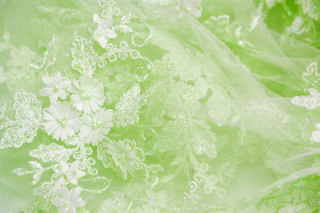 Lace background in light green color Textured design with an abstract pattern of old lace and sapphire lines Suitable for use in postcards.posters.textures.or wallpapersの写真素材