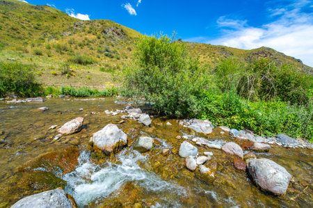 Feel the serene and calm flow of the river. Feel the awesome-inspiring beauty of the nature around you. Travel through a majestic rocky canyon in the heart of the mountains.の写真素材