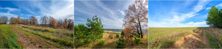 The beauty of autumn is captured in its golden season The yellowed leaves become especially bright...