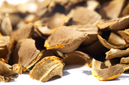 Apricot kernel. Raw materials for production. Natural, vegetable, scrub. Apricot oil, which is part...