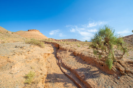 Enjoy the beauty of a desert sunset in the Red Boguta Mountains. Witness the golden glow of the sun illuminating the jagged peaks. Be mesmerized by the breathtaking colors and landscapes.の写真素材