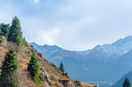 Experience the breathtaking beauty of an autumn wonderland in the mountains. Be enchanted by the vibrant kaleidoscope of colors of the spruce trees.の写真素材