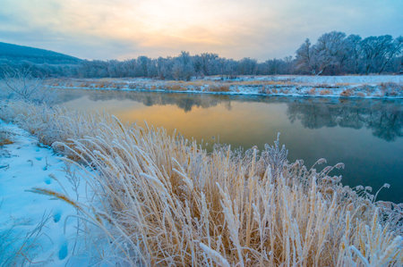 The beauty of a winter wonderland captured in a serene scene. Golden sunlight illuminating the...
