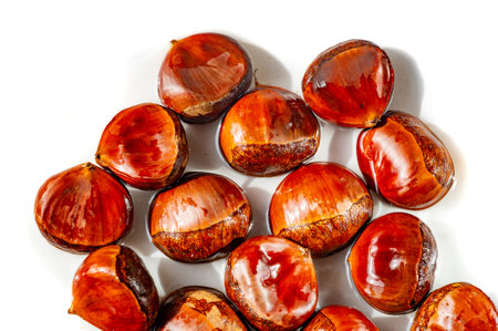 Experience the beauty of nature with. Discover the intricate art of chestnut arrangements. Celebrate the gifts of the season on a journey of love and nature.の写真素材