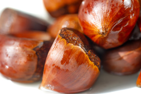 Feel nostalgic for cozy autumn evenings. Enjoy the delicious taste of plump chestnuts on a minimalist white plate. Let the cozy autumn vibes transport you to a place of relaxation and tranquility.の写真素材