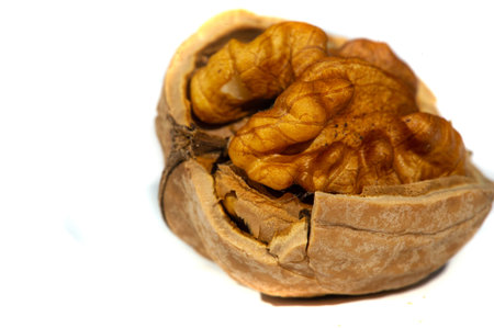 Walnut.